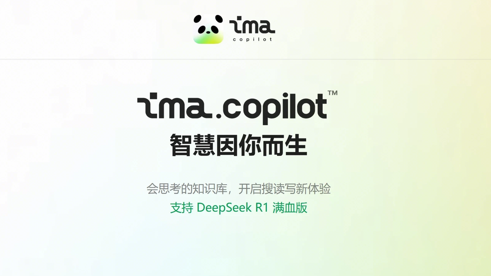 ima.copilot