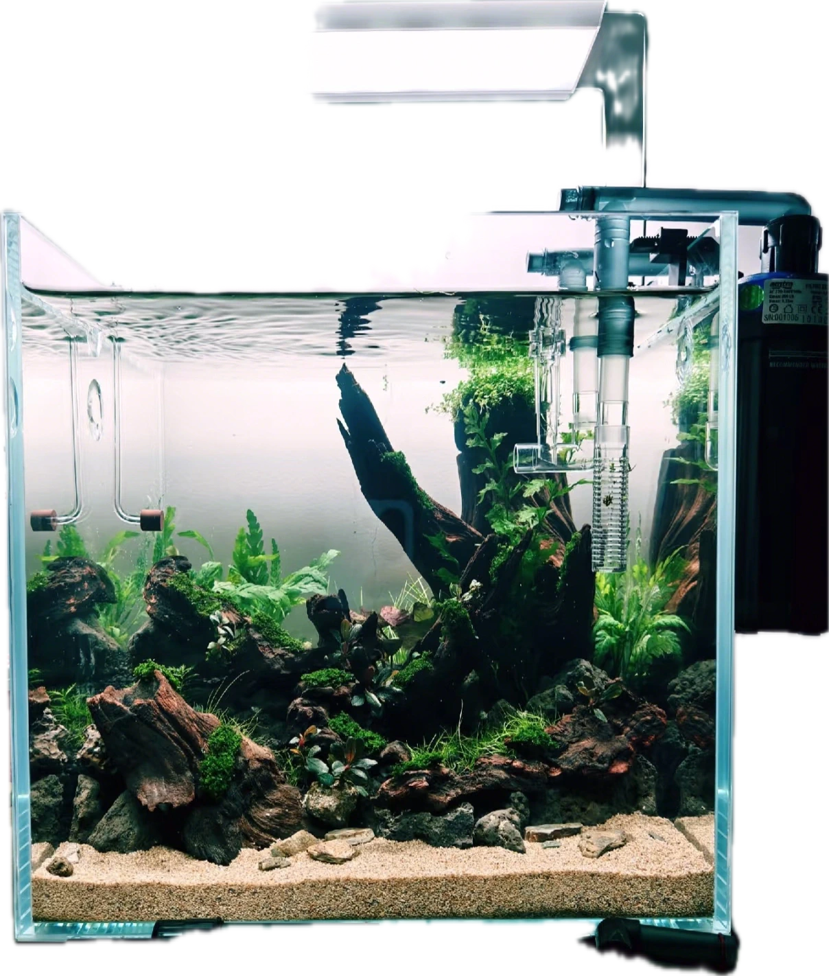智钓AI-钓鱼助手