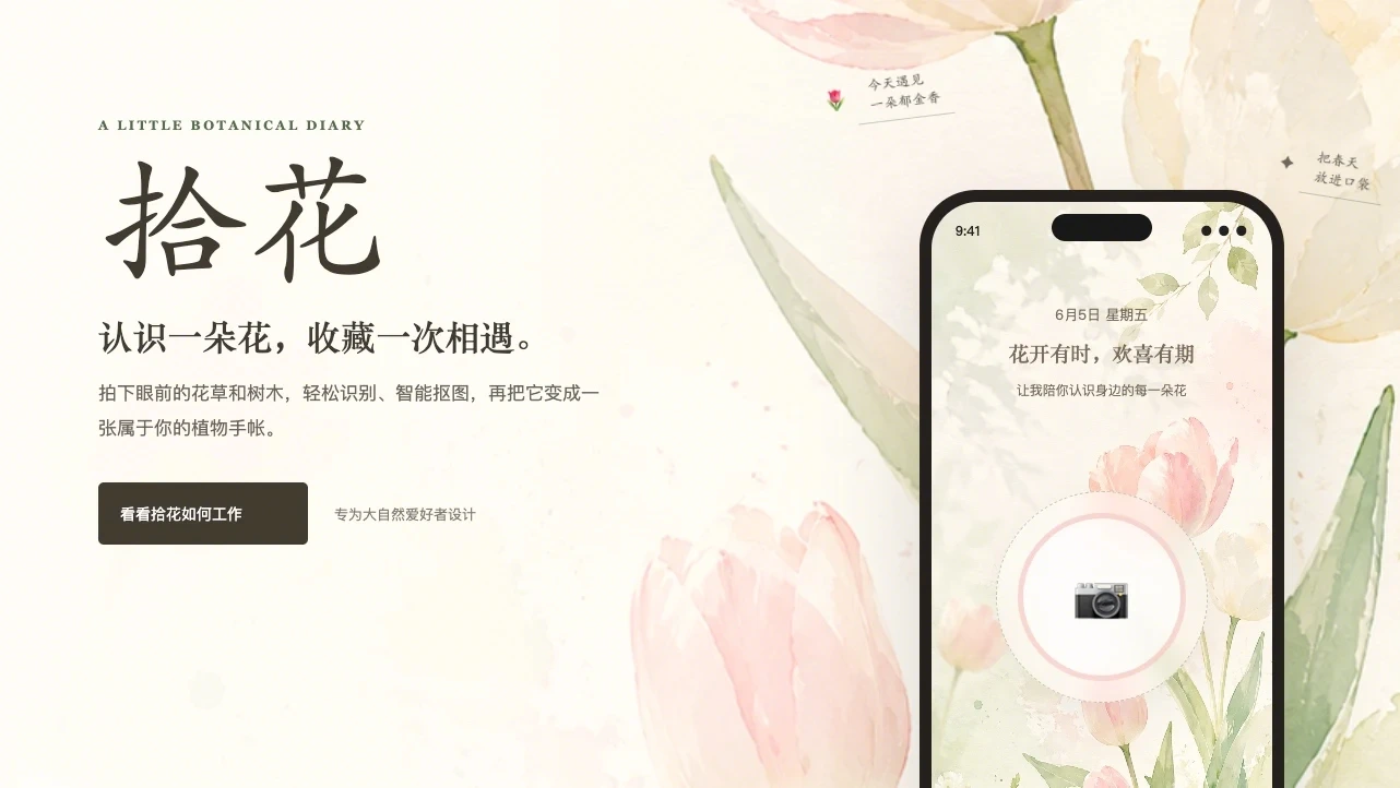 拾花