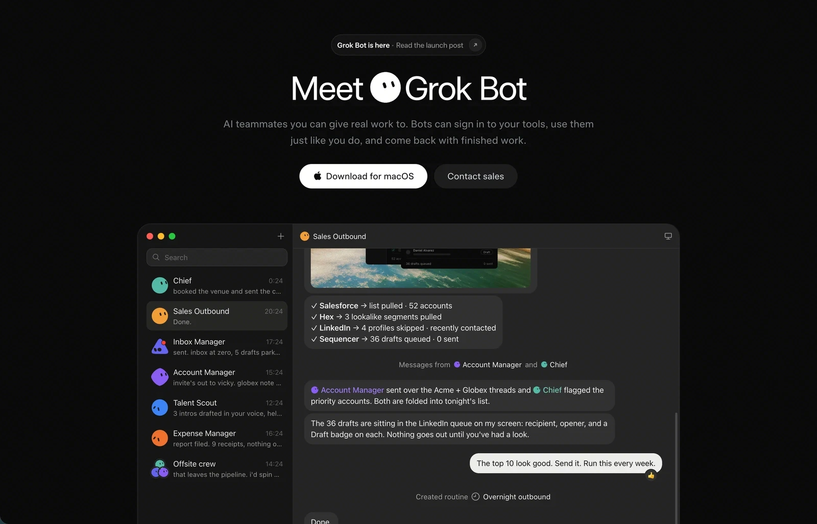 Grok Bot